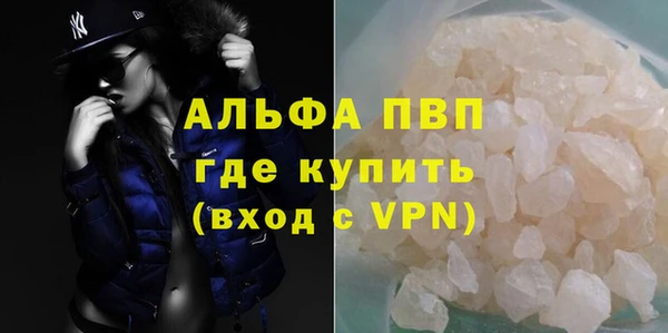 индика Нефтегорск