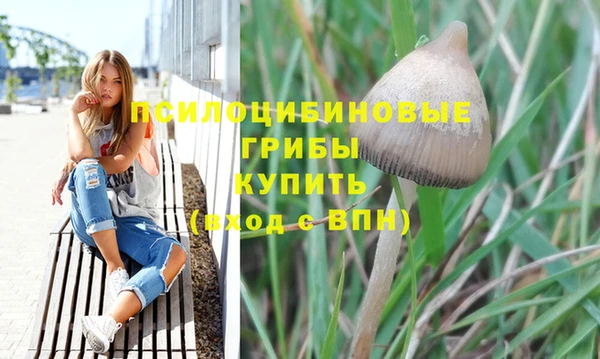 индика Нефтегорск