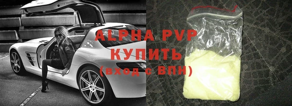 индика Нефтегорск