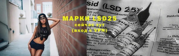 индика Нефтегорск