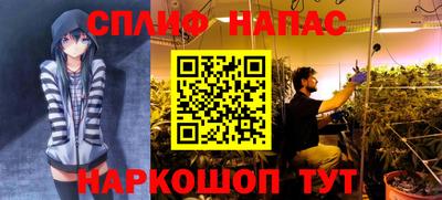 соль ск Гагарин