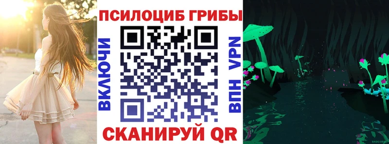 Псилоцибиновые грибы ЛСД  кракен маркетплейс  Каменск-Уральский  даркнет сайт 