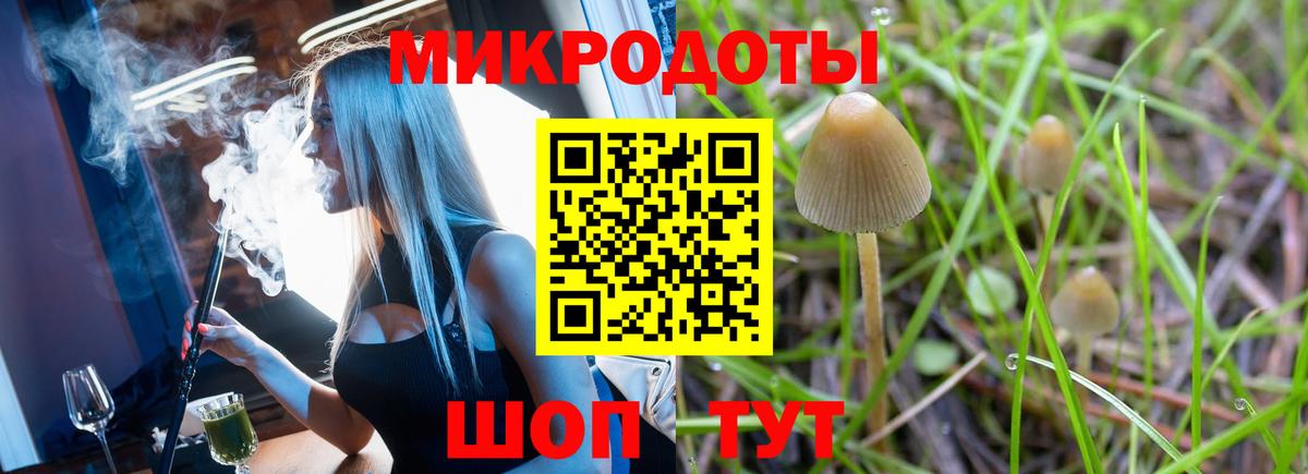 Псилоцибиновые грибы GOLDEN TEACHER Каменск-Уральский